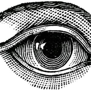 Meet your Posher, Teale